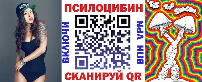 Псилоцибиновые грибы Cubensis  Черняховск 