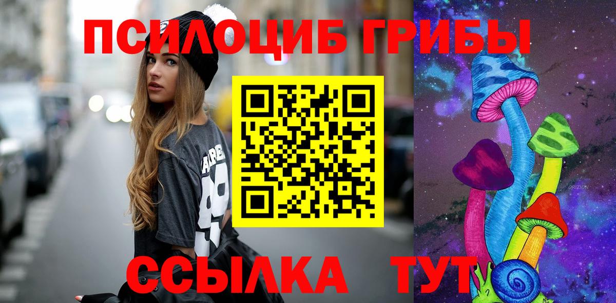 Псилоцибиновые грибы Magic Shrooms  Черняховск  как найти закладки  Галлюциногенные грибы мицелий 