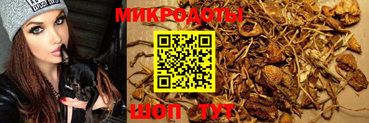 Галлюциногенные грибы мицелий  Вход с VPN  Черняховск 