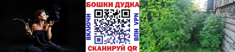 МАРИХУАНА THC 21%  купить закладку  blacksprut ссылки  Черняховск 